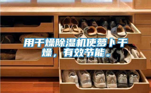 用干燥除濕機(jī)使蘿卜干燥，有效節(jié)能。