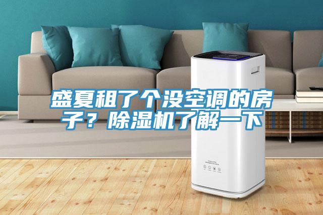 盛夏租了個(gè)沒空調(diào)的房子？除濕機(jī)了解一下