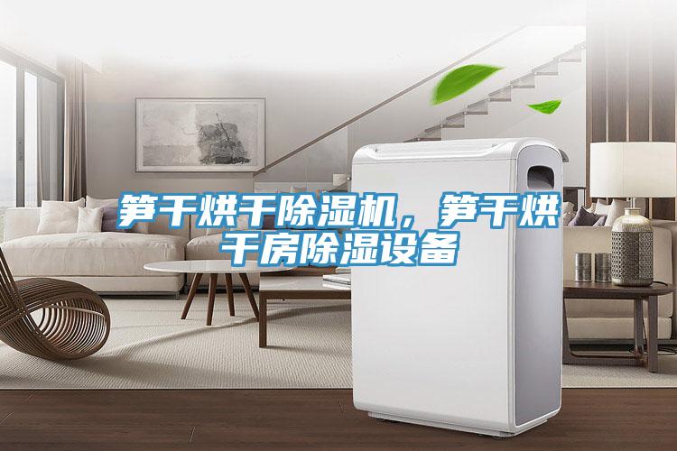 筍干烘干除濕機，筍干烘干房除濕設(shè)備