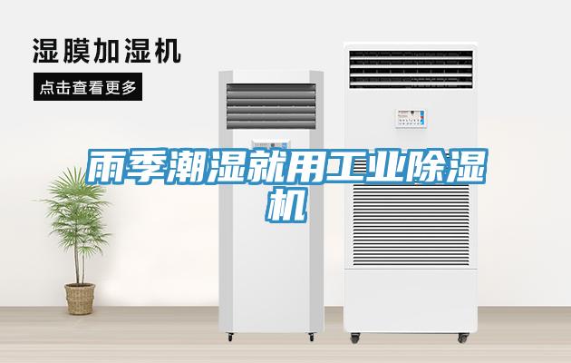 雨季潮濕就用工業(yè)除濕機