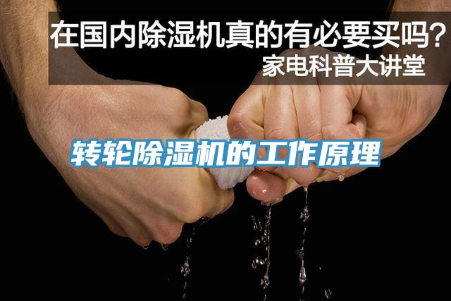 轉(zhuǎn)輪除濕機的工作原理