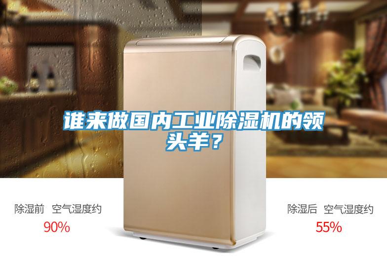 誰(shuí)來做國(guó)內(nèi)工業(yè)除濕機(jī)的領(lǐng)頭羊？