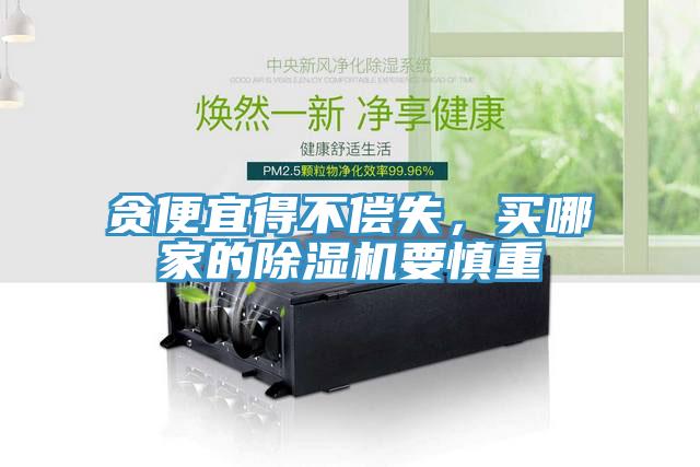 貪便宜得不償失，買哪家的除濕機要慎重