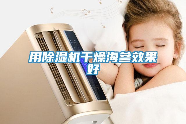 用除濕機(jī)干燥海參效果好