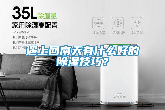 遇上回南天有什么好的除濕技巧？