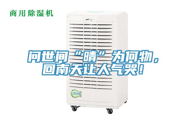 問世間“晴”為何物，回南天讓人氣哭！