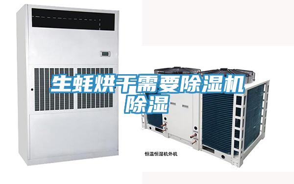 生蠔烘干需要除濕機(jī)除濕