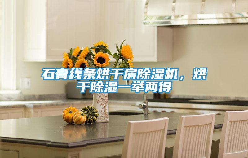石膏線條烘干房除濕機，烘干除濕一舉兩得