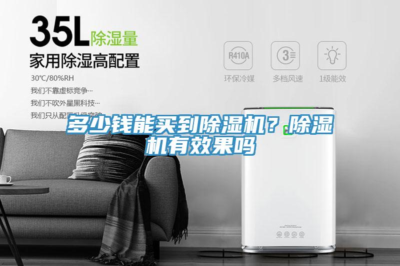 多少錢能買到除濕機？除濕機有效果嗎