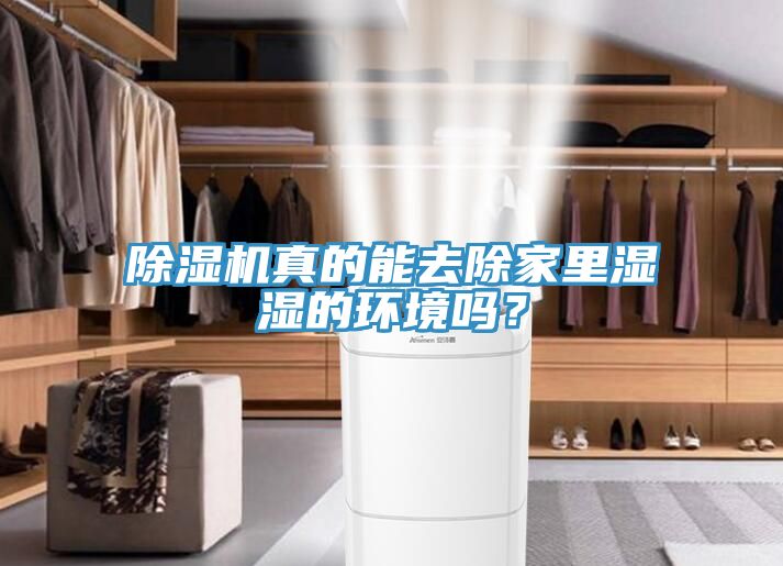除濕機(jī)真的能去除家里濕濕的環(huán)境嗎？