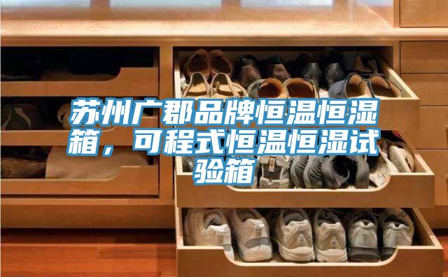蘇州廣郡品牌恒溫恒濕箱，可程式恒溫恒濕試驗箱