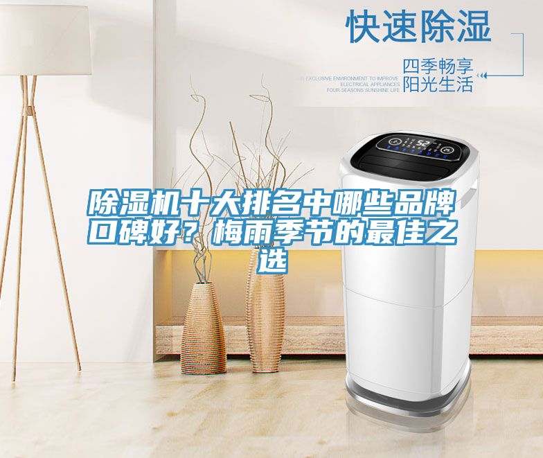 除濕機十大排名中哪些品牌口碑好？梅雨季節(jié)的最佳之選