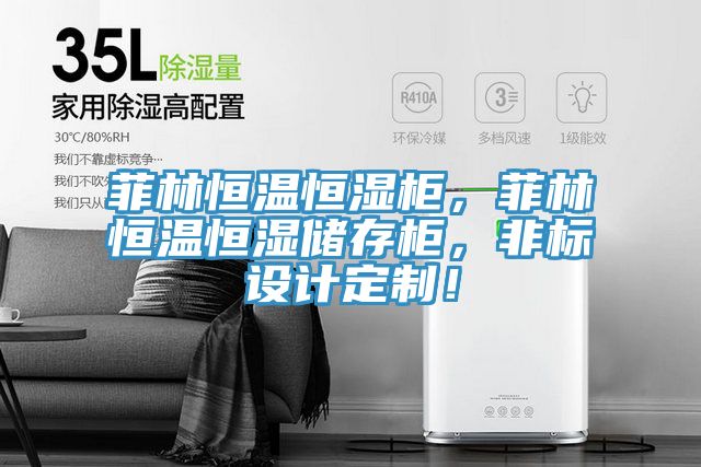 菲林恒溫恒濕柜，菲林恒溫恒濕儲(chǔ)存柜，非標(biāo)設(shè)計(jì)定制！