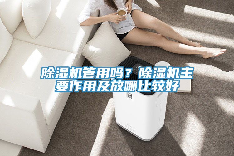 除濕機管用嗎？除濕機主要作用及放哪比較好