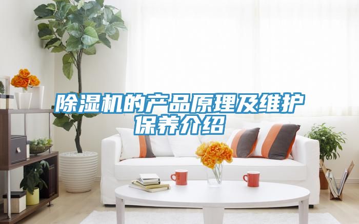除濕機的產(chǎn)品原理及維護保養(yǎng)介紹