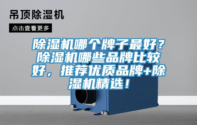 除濕機(jī)哪個牌子最好？除濕機(jī)哪些品牌比較好，推薦優(yōu)質(zhì)品牌+除濕機(jī)精選！