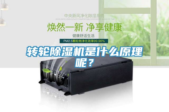 轉(zhuǎn)輪除濕機是什么原理呢？