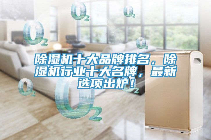除濕機(jī)十大品牌排名，除濕機(jī)行業(yè)十大名牌，最新選項(xiàng)出爐！