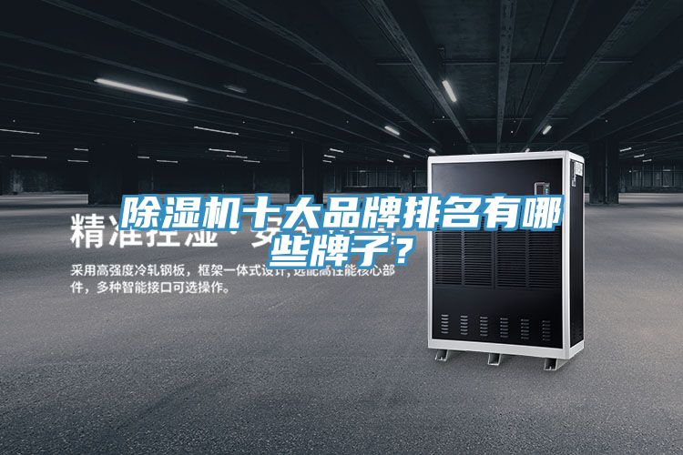 除濕機十大品牌排名有哪些牌子？