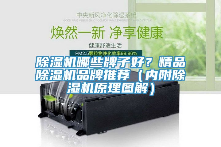 除濕機(jī)哪些牌子好？精品除濕機(jī)品牌推薦（內(nèi)附除濕機(jī)原理圖解）