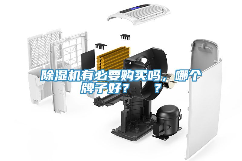 除濕機(jī)有必要購買嗎，哪個(gè)牌子好？  ？