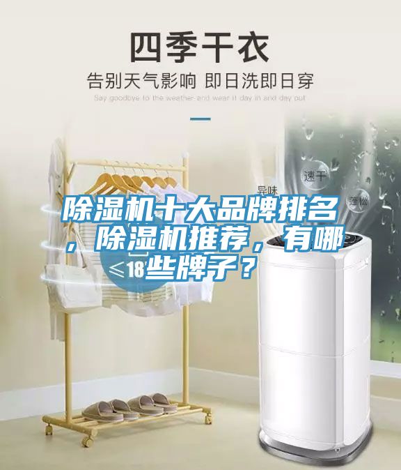 除濕機十大品牌排名，除濕機推薦，有哪些牌子？