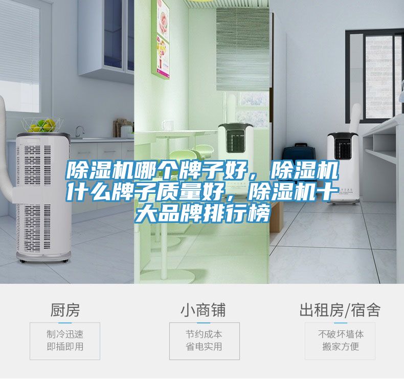 除濕機(jī)哪個(gè)牌子好，除濕機(jī)什么牌子質(zhì)量好，除濕機(jī)十大品牌排行榜