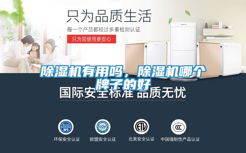 除濕機(jī)有用嗎，除濕機(jī)哪個(gè)牌子的好