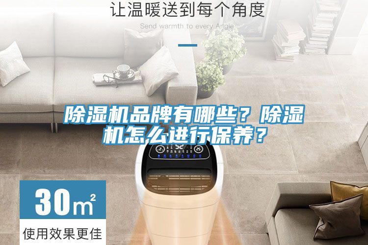 除濕機品牌有哪些？除濕機怎么進行保養(yǎng)？