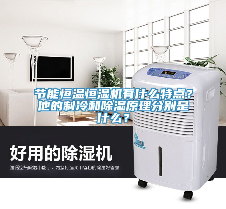 節(jié)能恒溫恒濕機(jī)有什么特點(diǎn)？他的制冷和除濕原理分別是什么？