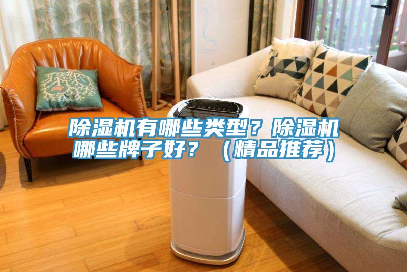 除濕機(jī)有哪些類型？除濕機(jī)哪些牌子好？（精品推薦）