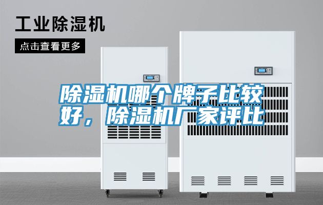 除濕機(jī)哪個牌子比較好，除濕機(jī)廠家評比