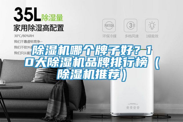 除濕機(jī)哪個(gè)牌子好？10大除濕機(jī)品牌排行榜（除濕機(jī)推薦）