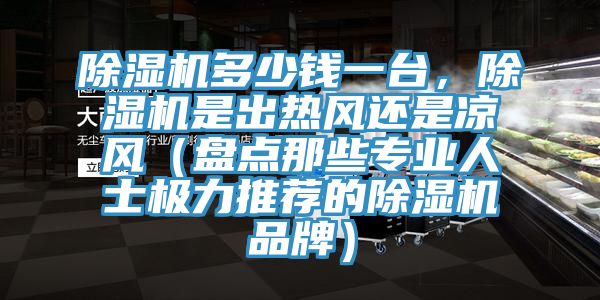 除濕機(jī)多少錢(qián)一臺(tái)，除濕機(jī)是出熱風(fēng)還是涼風(fēng)（盤(pán)點(diǎn)那些專(zhuān)業(yè)人士極力推薦的除濕機(jī)品牌）