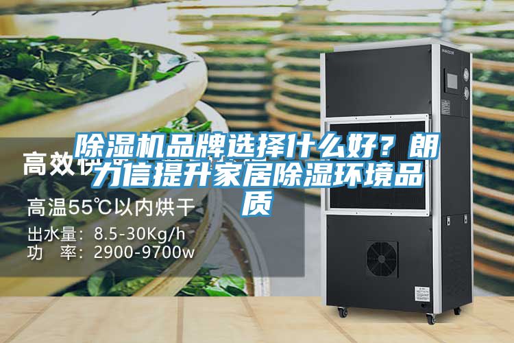 除濕機(jī)品牌選擇什么好？朗力信提升家居除濕環(huán)境品質(zhì)
