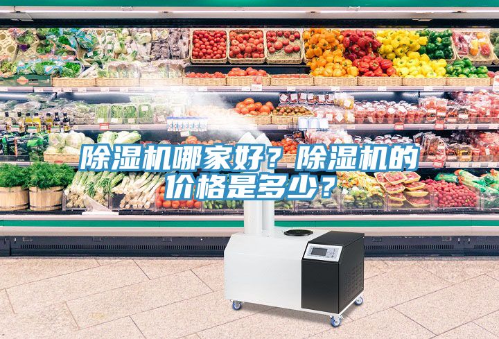除濕機哪家好？除濕機的價格是多少？