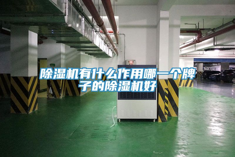 除濕機(jī)有什么作用哪一個牌子的除濕機(jī)好