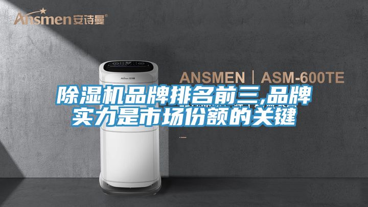 除濕機品牌排名前三,品牌實力是市場份額的關(guān)鍵