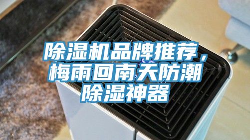 除濕機品牌推薦，梅雨回南天防潮除濕神器
