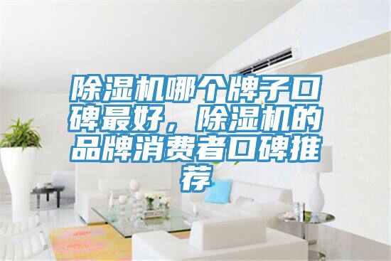 除濕機(jī)哪個(gè)牌子口碑最好，除濕機(jī)的品牌消費(fèi)者口碑推薦