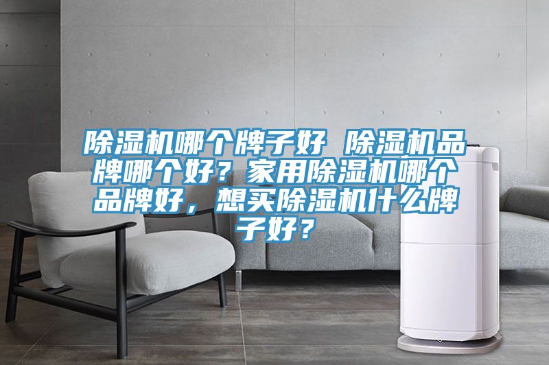 除濕機(jī)哪個牌子好 除濕機(jī)品牌哪個好？家用除濕機(jī)哪個品牌好，想買除濕機(jī)什么牌子好？