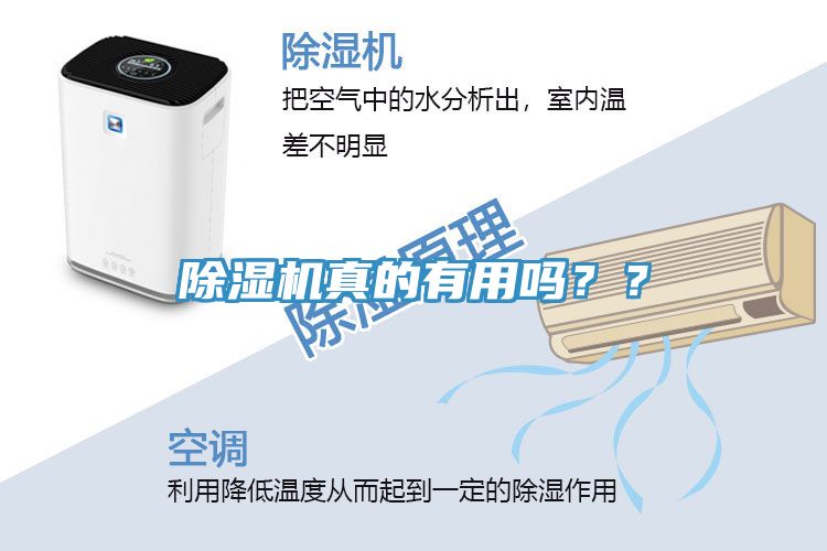 除濕機(jī)真的有用嗎？？