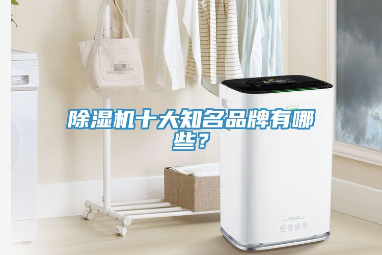 除濕機十大知名品牌有哪些？