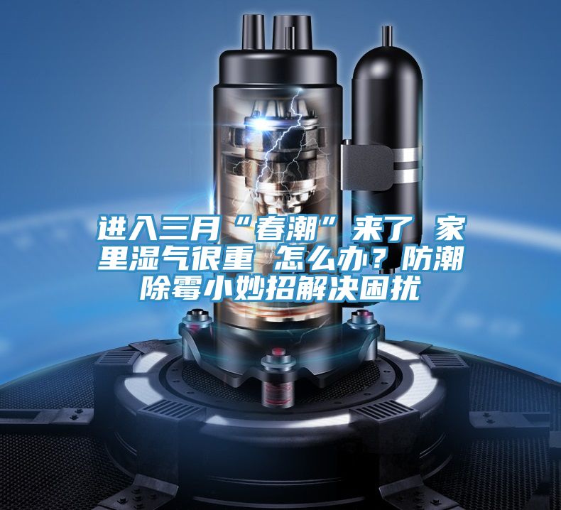 進入三月“春潮”來了 家里濕氣很重 怎么辦？防潮除霉小妙招解決困擾