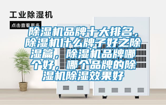 除濕機品牌十大排名，除濕機什么牌子好之除濕篇，除濕機品牌哪個好，哪個品牌的除濕機除濕效果好