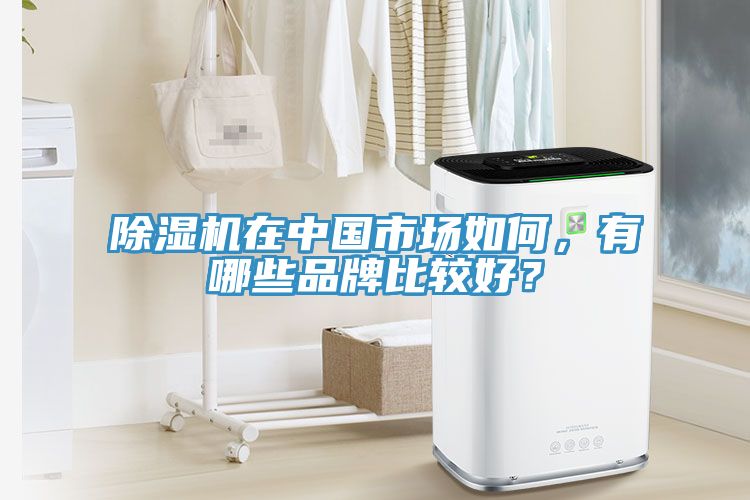 除濕機在中國市場如何，有哪些品牌比較好？