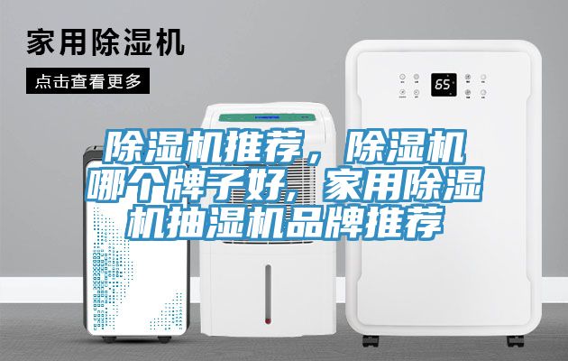 除濕機推薦，除濕機哪個牌子好, 家用除濕機抽濕機品牌推薦