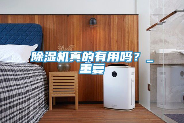 除濕機(jī)真的有用嗎？_重復(fù)