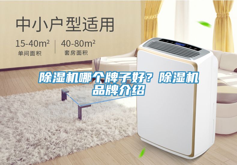 除濕機(jī)哪個牌子好？除濕機(jī)品牌介紹