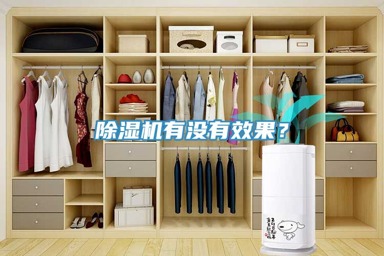 除濕機有沒有效果？